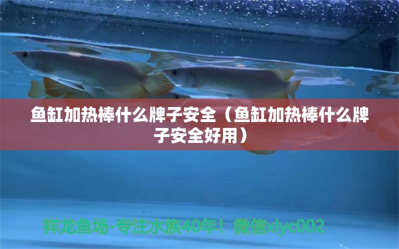 魚缸加熱棒什么牌子安全（魚缸加熱棒什么牌子安全好用）