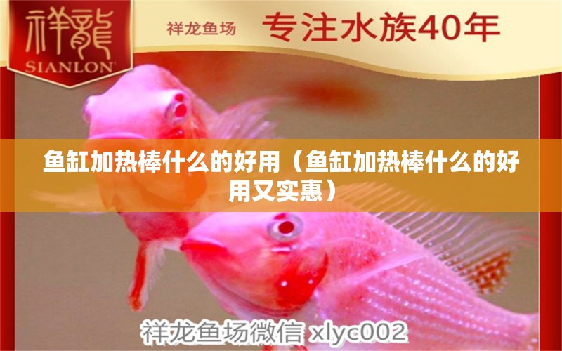 魚缸加熱棒什么的好用（魚缸加熱棒什么的好用又實惠） 其他品牌魚缸