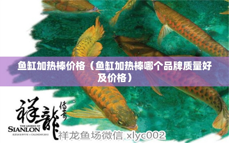 魚缸加熱棒價(jià)格（魚缸加熱棒哪個(gè)品牌質(zhì)量好及價(jià)格） 廣州觀賞魚批發(fā)市場(chǎng)