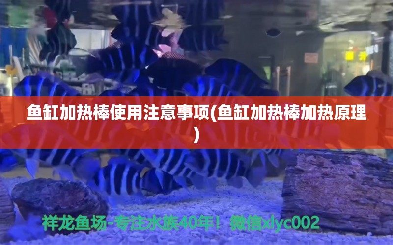 魚缸加熱棒使用注意事項(xiàng)(魚缸加熱棒加熱原理)