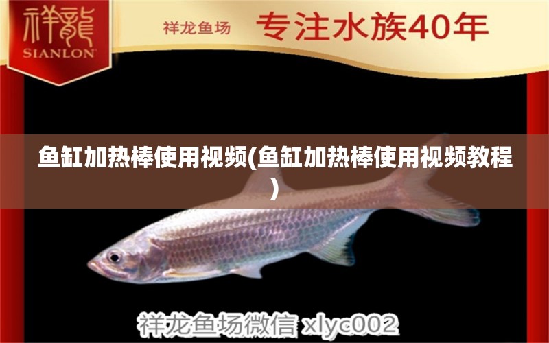 魚缸加熱棒使用視頻(魚缸加熱棒使用視頻教程) 稀有金龍魚 第1張