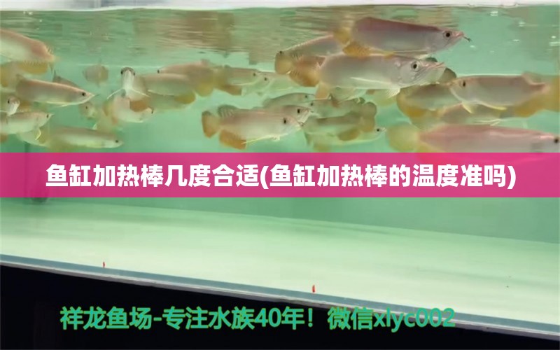 魚缸加熱棒幾度合適(魚缸加熱棒的溫度準(zhǔn)嗎)