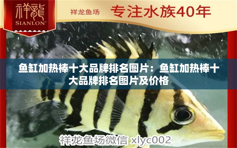 魚缸加熱棒十大品牌排名圖片：魚缸加熱棒十大品牌排名圖片及價格