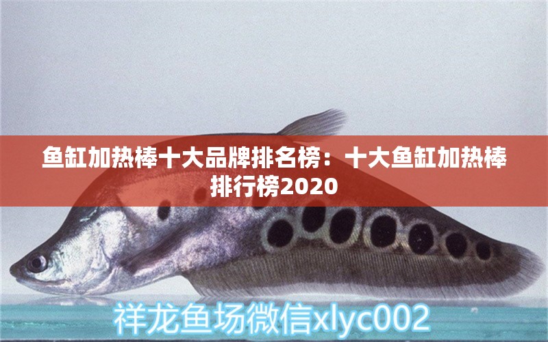 魚缸加熱棒十大品牌排名榜：十大魚缸加熱棒排行榜2020