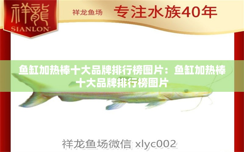 魚缸加熱棒十大品牌排行榜圖片：魚缸加熱棒十大品牌排行榜圖片 廣州龍魚批發(fā)市場(chǎng)