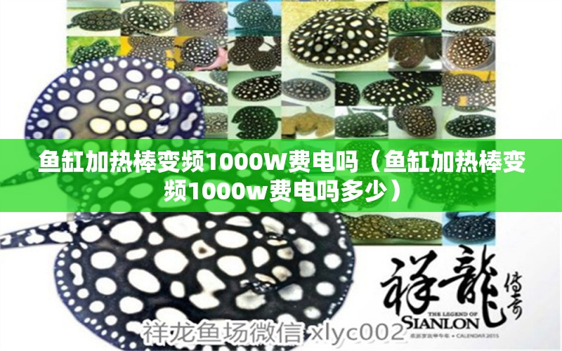 魚缸加熱棒變頻1000W費(fèi)電嗎（魚缸加熱棒變頻1000w費(fèi)電嗎多少）