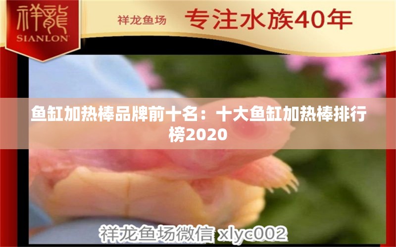 魚缸加熱棒品牌前十名：十大魚缸加熱棒排行榜2020