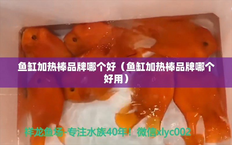 魚缸加熱棒品牌哪個好（魚缸加熱棒品牌哪個好用）