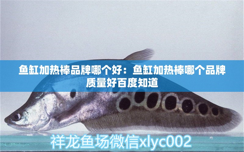 魚缸加熱棒品牌哪個(gè)好：魚缸加熱棒哪個(gè)品牌質(zhì)量好百度知道