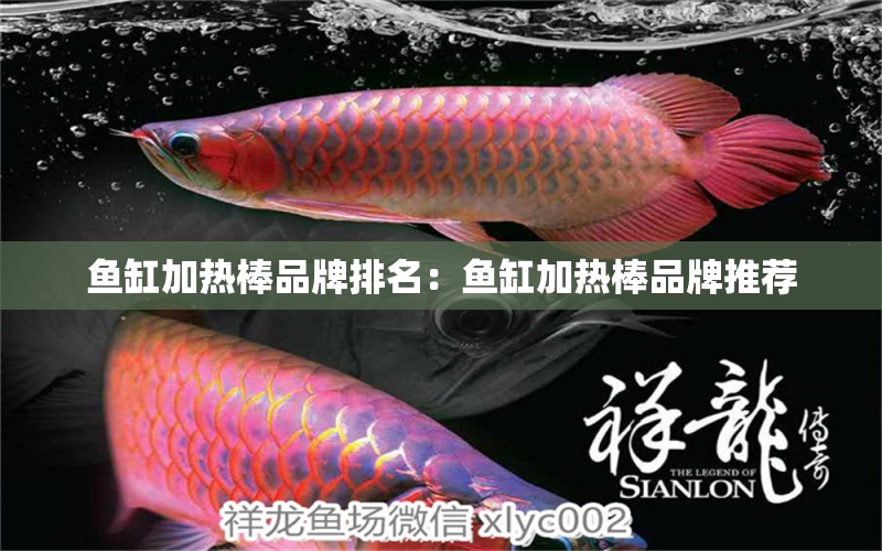 魚缸加熱棒品牌排名：魚缸加熱棒品牌推薦