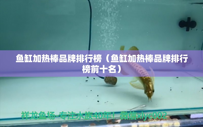 魚缸加熱棒品牌排行榜（魚缸加熱棒品牌排行榜前十名）