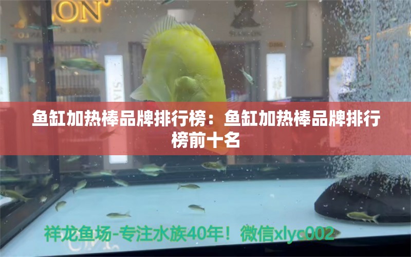 魚缸加熱棒品牌排行榜：魚缸加熱棒品牌排行榜前十名