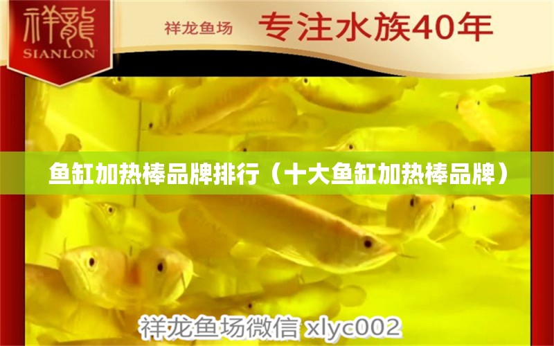 魚缸加熱棒品牌排行（十大魚缸加熱棒品牌） 廣州觀賞魚批發(fā)市場 第1張