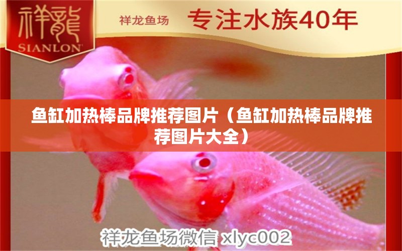 魚缸加熱棒品牌推薦圖片（魚缸加熱棒品牌推薦圖片大全）