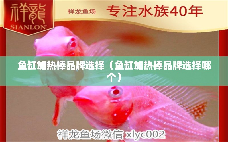 魚缸加熱棒品牌選擇（魚缸加熱棒品牌選擇哪個）