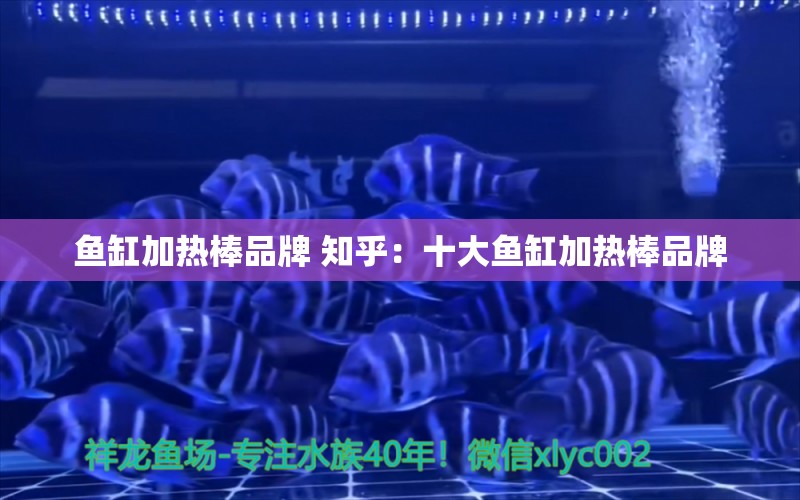 魚缸加熱棒品牌 知乎：十大魚缸加熱棒品牌