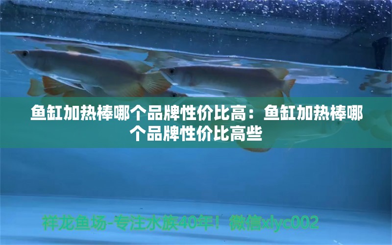 魚缸加熱棒哪個(gè)品牌性價(jià)比高：魚缸加熱棒哪個(gè)品牌性價(jià)比高些