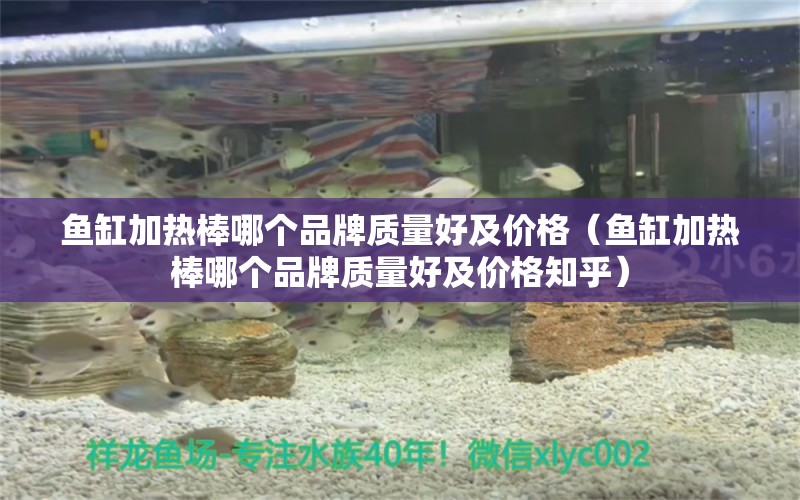 魚缸加熱棒哪個品牌質(zhì)量好及價格（魚缸加熱棒哪個品牌質(zhì)量好及價格知乎）