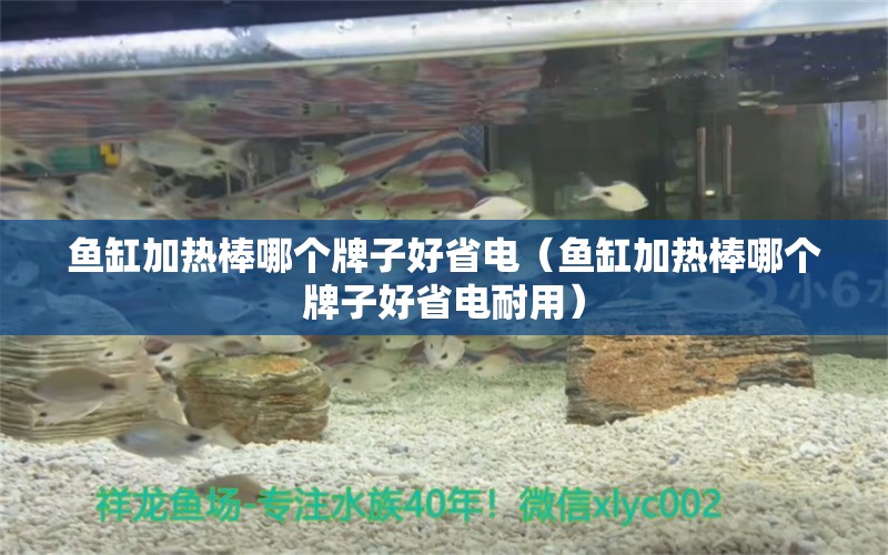 魚缸加熱棒哪個牌子好省電（魚缸加熱棒哪個牌子好省電耐用）