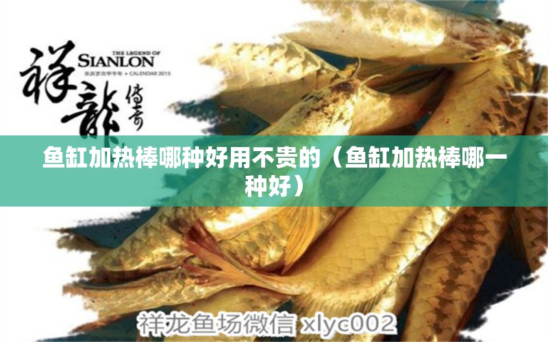 魚缸加熱棒哪種好用不貴的（魚缸加熱棒哪一種好）