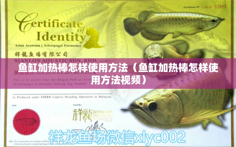 魚缸加熱棒怎樣使用方法（魚缸加熱棒怎樣使用方法視頻）