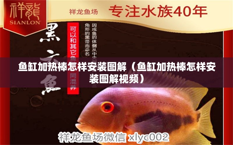 魚(yú)缸加熱棒怎樣安裝圖解（魚(yú)缸加熱棒怎樣安裝圖解視頻） 祥龍魚(yú)場(chǎng)