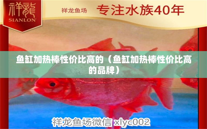 魚缸加熱棒性價(jià)比高的（魚缸加熱棒性價(jià)比高的品牌） 魚缸等水族設(shè)備