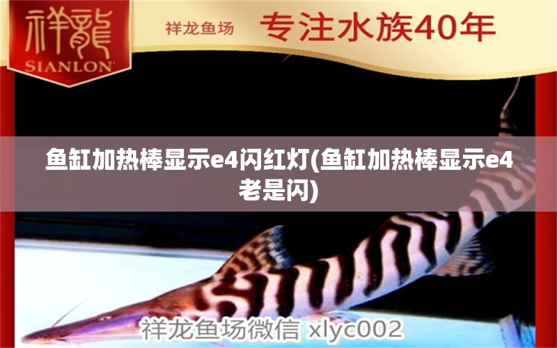 魚(yú)缸加熱棒顯示e4閃紅燈(魚(yú)缸加熱棒顯示e4老是閃) 觀賞魚(yú)市場(chǎng)（混養(yǎng)魚(yú)）