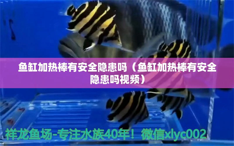 魚缸加熱棒有安全隱患嗎（魚缸加熱棒有安全隱患嗎視頻） 祥龍水族醫(yī)院