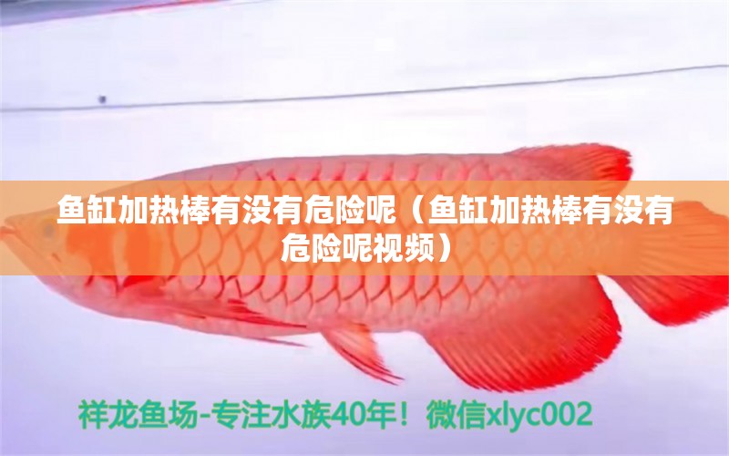 魚缸加熱棒有沒有危險呢（魚缸加熱棒有沒有危險呢視頻）