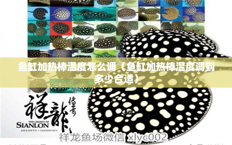 魚(yú)缸加熱棒溫度怎么調(diào)（魚(yú)缸加熱棒溫度調(diào)到多少合適）