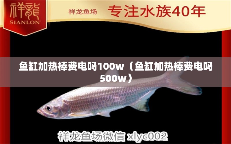 魚(yú)缸加熱棒費(fèi)電嗎100w（魚(yú)缸加熱棒費(fèi)電嗎500w）