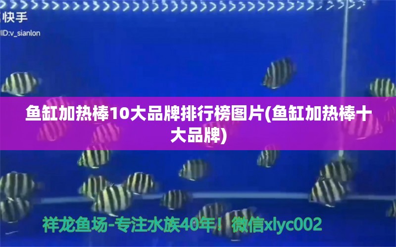 魚缸加熱棒10大品牌排行榜圖片(魚缸加熱棒十大品牌) 蘇虎 第1張