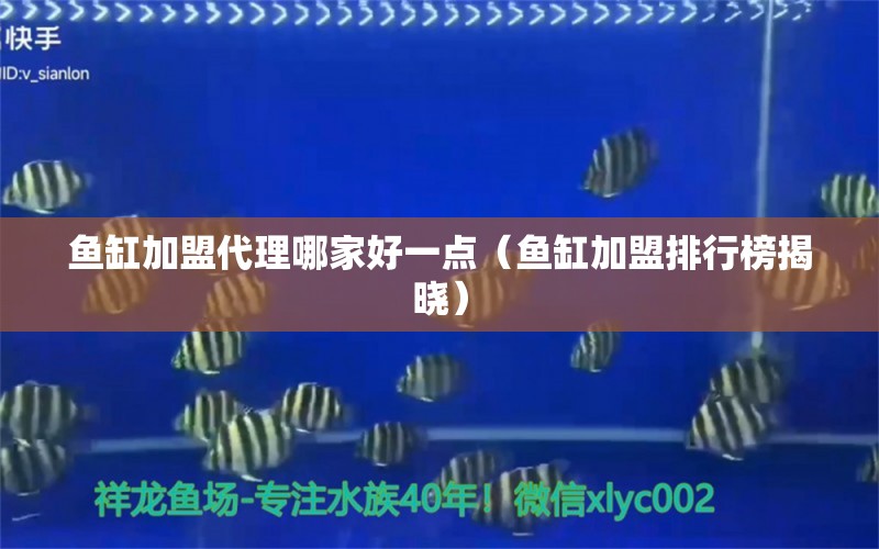 魚缸加盟代理哪家好一點（魚缸加盟排行榜揭曉）