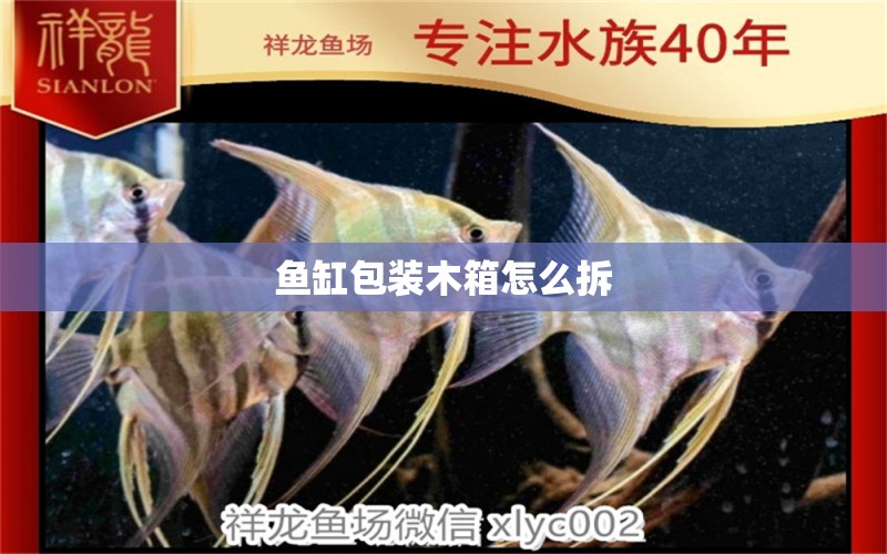 魚缸包裝木箱怎么拆 祥龍魚場