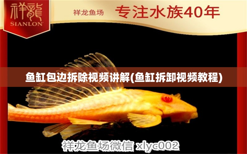 魚缸包邊拆除視頻講解(魚缸拆卸視頻教程) 純血皇冠黑白魟魚