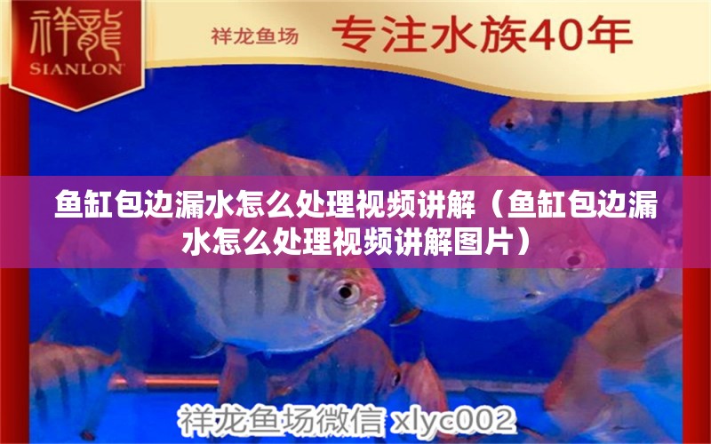 魚缸包邊漏水怎么處理視頻講解（魚缸包邊漏水怎么處理視頻講解圖片）