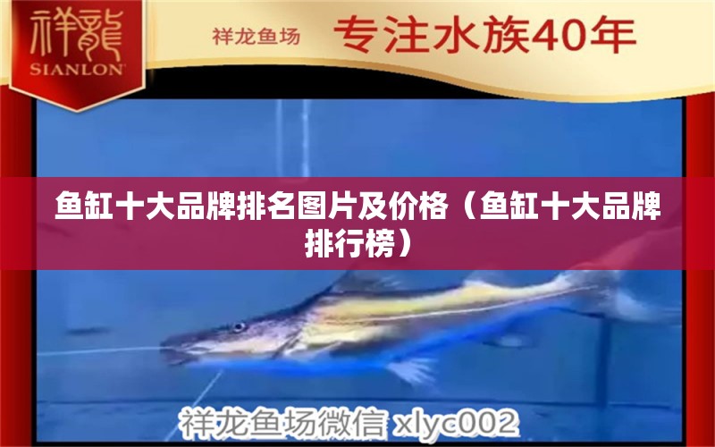 魚缸十大品牌排名圖片及價格（魚缸十大品牌排行榜）