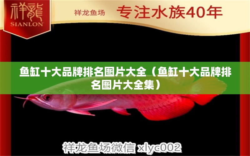 魚缸十大品牌排名圖片大全（魚缸十大品牌排名圖片大全集）