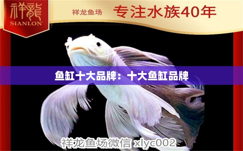 魚缸十大品牌：十大魚缸品牌