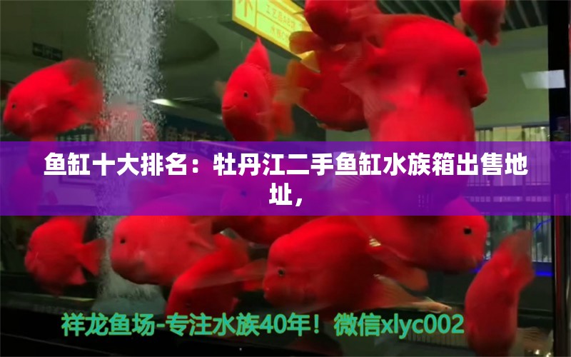 魚缸十大排名：牡丹江二手魚缸水族箱出售地址， 魚缸百科 第2張