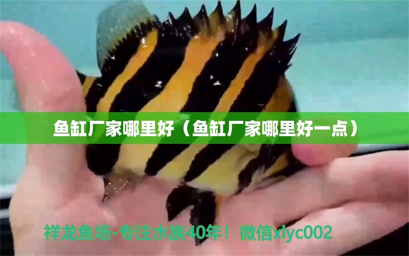 魚缸廠家哪里好（魚缸廠家哪里好一點(diǎn)）