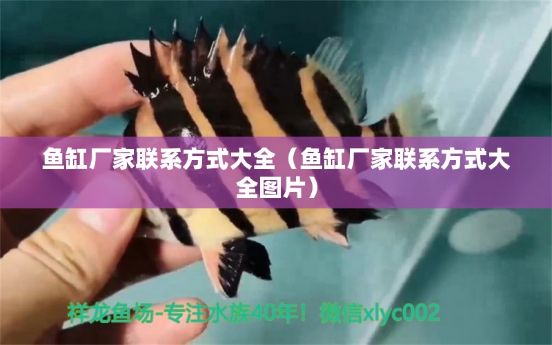 魚缸廠家聯(lián)系方式大全（魚缸廠家聯(lián)系方式大全圖片）