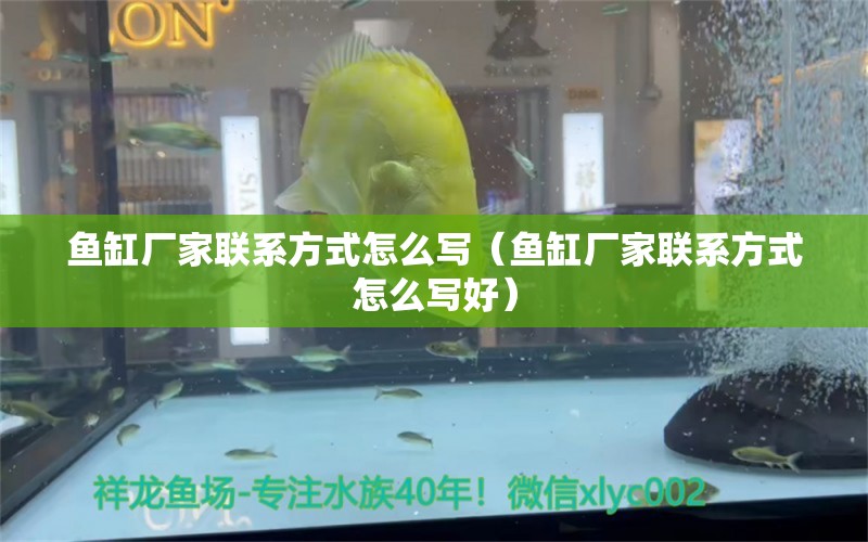 魚缸廠家聯(lián)系方式怎么寫（魚缸廠家聯(lián)系方式怎么寫好）