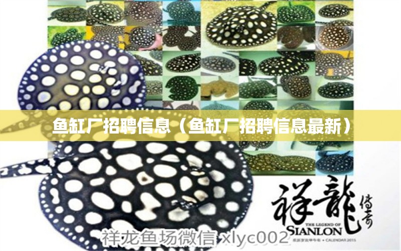 魚缸廠招聘信息（魚缸廠招聘信息最新） 其他品牌魚缸