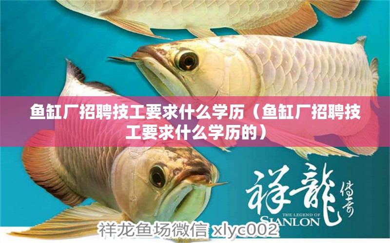 魚缸廠招聘技工要求什么學(xué)歷（魚缸廠招聘技工要求什么學(xué)歷的）