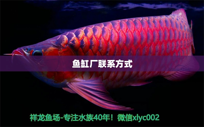 魚缸廠聯(lián)系方式