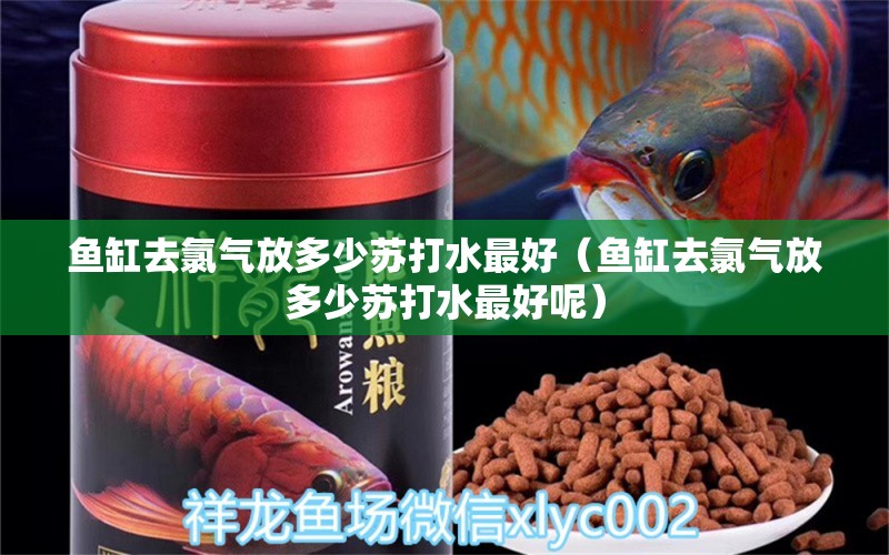 魚缸去氯氣放多少蘇打水最好（魚缸去氯氣放多少蘇打水最好呢）