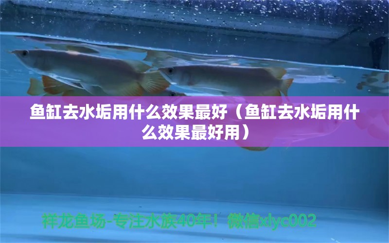 魚缸去水垢用什么效果最好（魚缸去水垢用什么效果最好用） PH調(diào)節(jié)劑