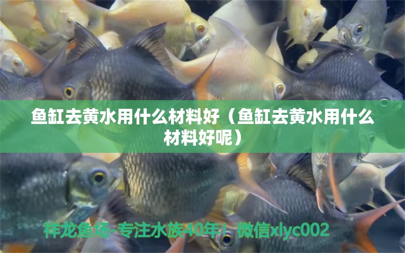 魚缸去黃水用什么材料好（魚缸去黃水用什么材料好呢） 祥龍水族醫(yī)院